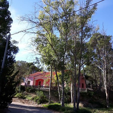 Casas Rurales "Paraje El Cajal" Ojós Esterno foto