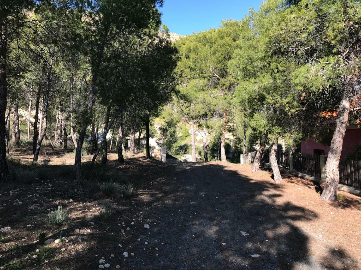 Casas Rurales "Paraje El Cajal" Ojós Esterno foto