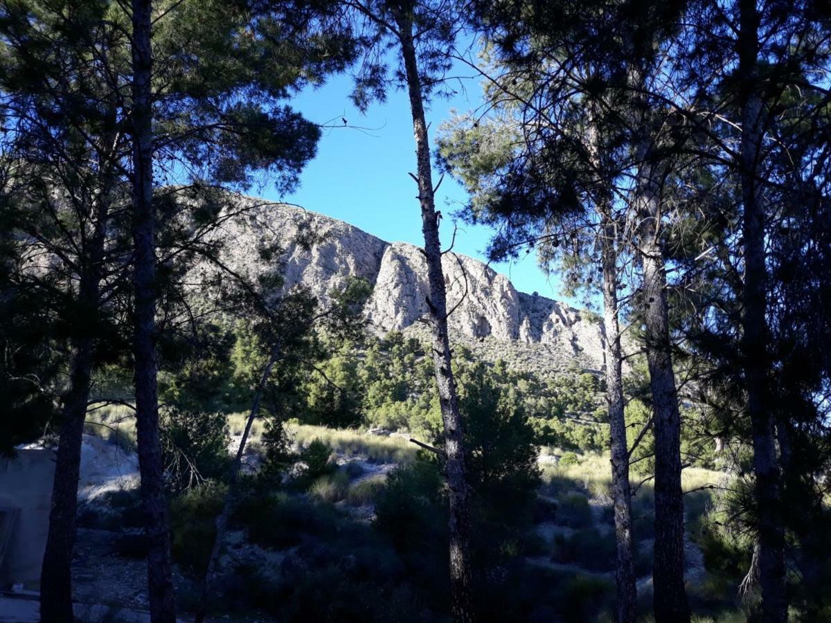 Casas Rurales "Paraje El Cajal" Ojós Esterno foto